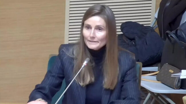 El juez afirma que los tuits racistas de la edil de Vox en València son “incompatibles con la convivencia” y ve “indicios de criminalidad”